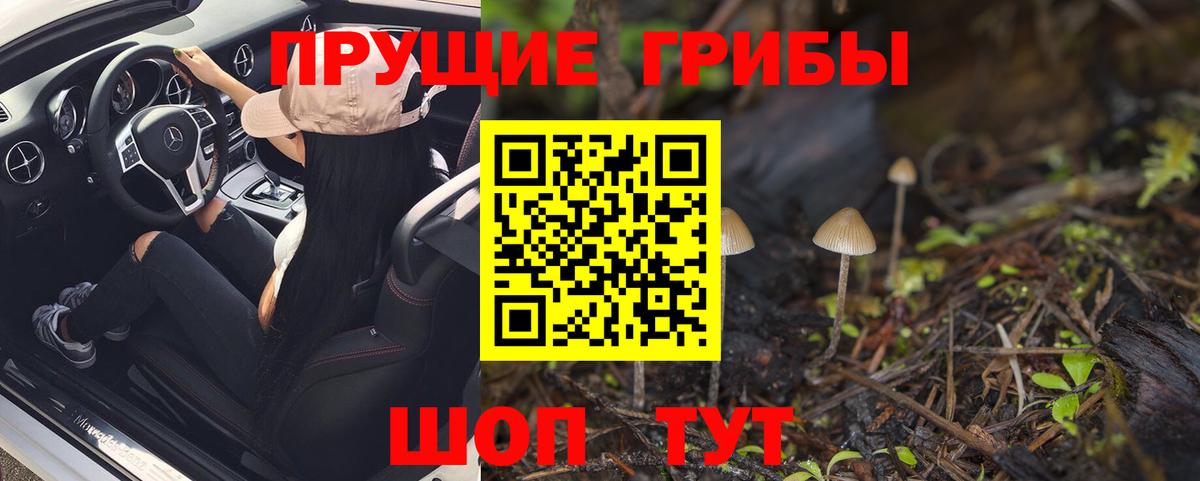 Псилоцибиновые грибы мухоморы Муром